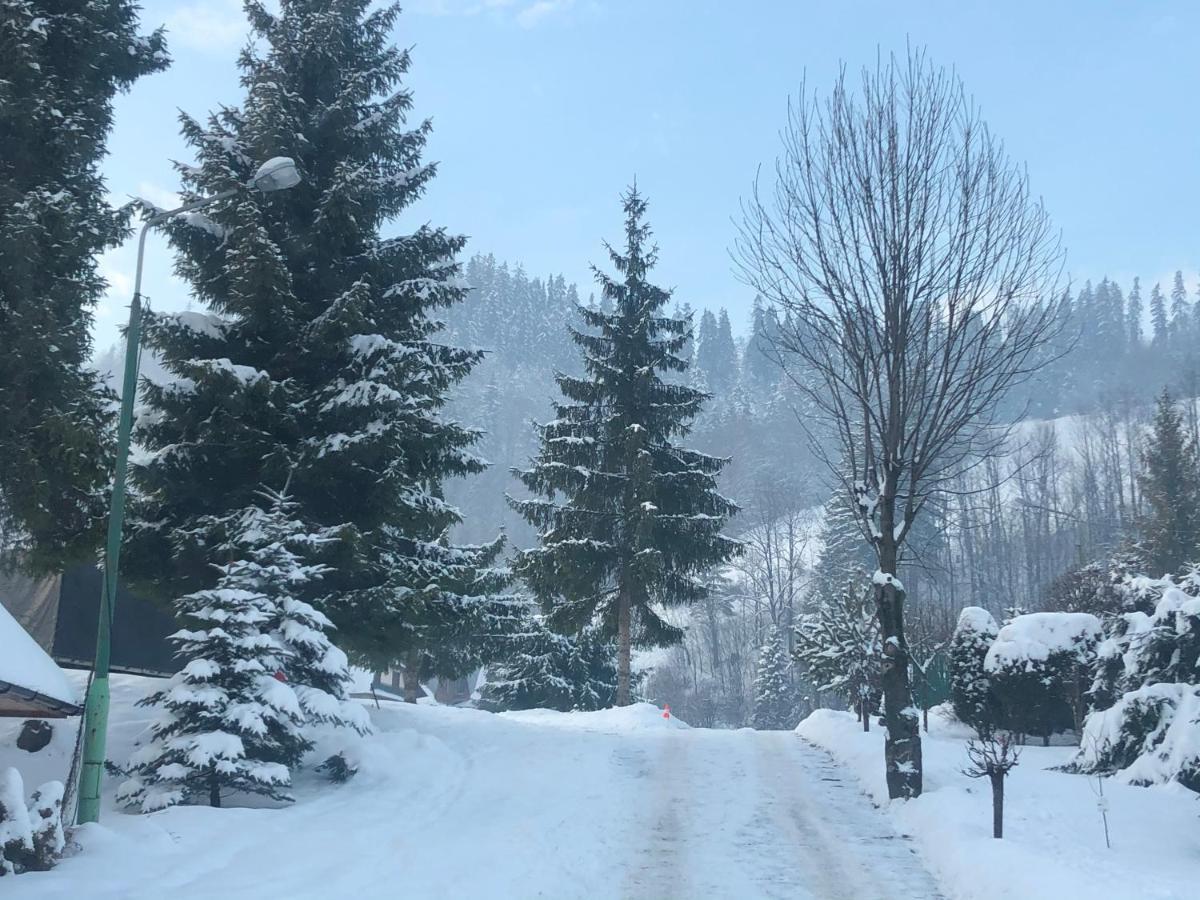 Camping Harenda Pokoje Goscinne I Domki Zakopane Exterior foto